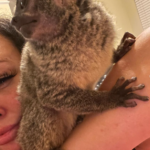 Galago kaufen Schweiz